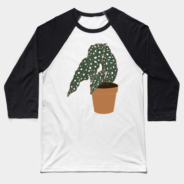 Begonia Maculata Plant – Clay Pot Baseball T-Shirt by Raquel’s Room